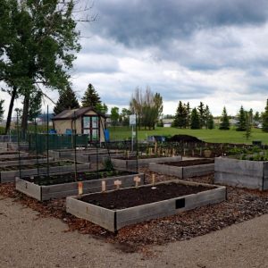 North Garden - Raised Beds