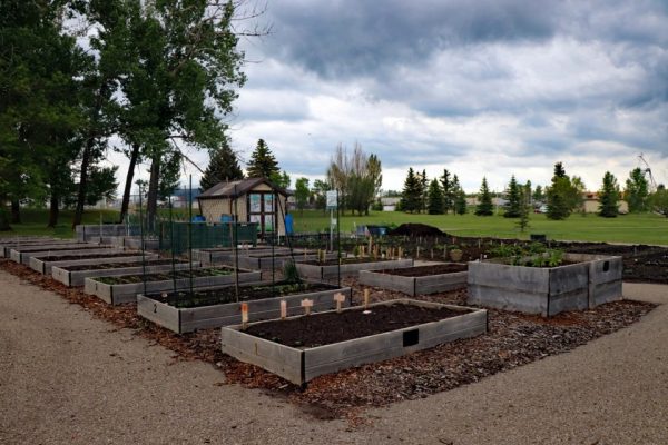 North Garden - Raised Beds