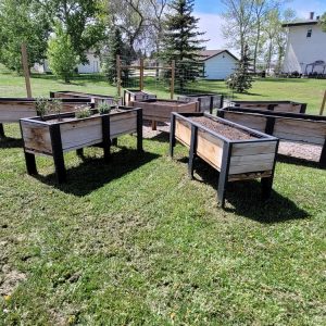 North Garden - Flower Beds