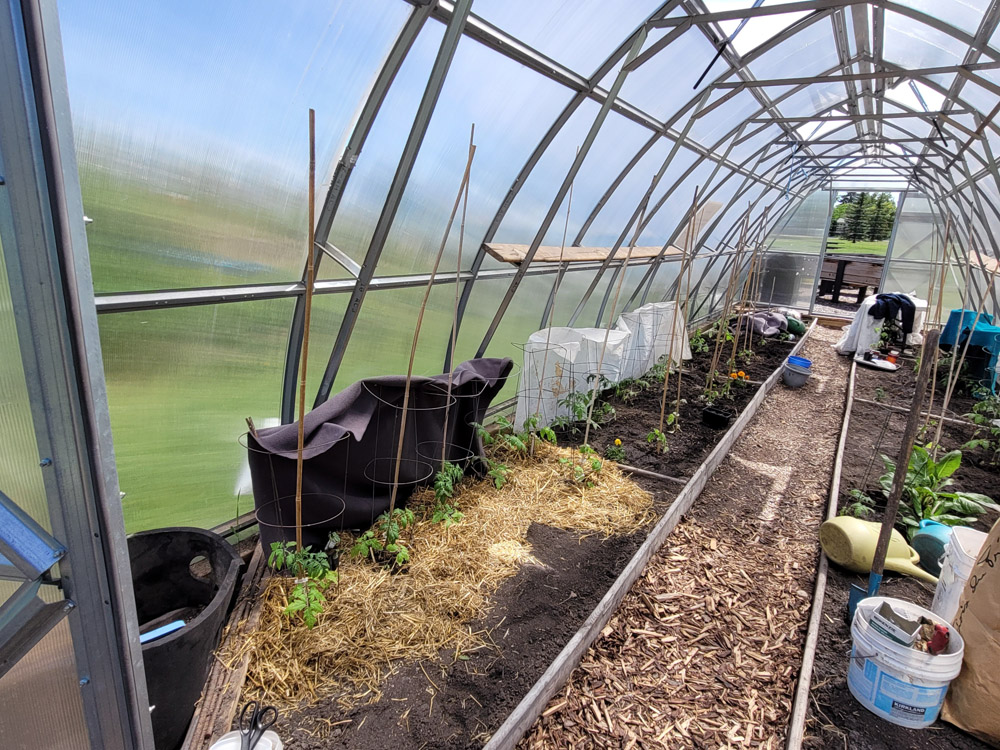 North Garden - Greenhouse Beds - Image 3