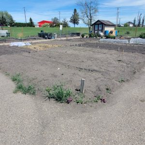 North Garden - Ground Plots