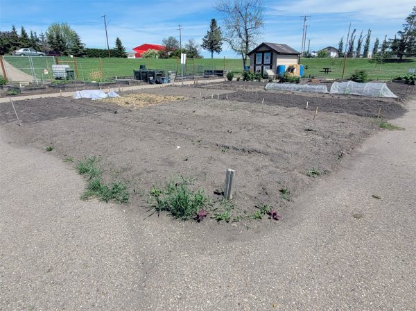 North Garden - Ground Plots