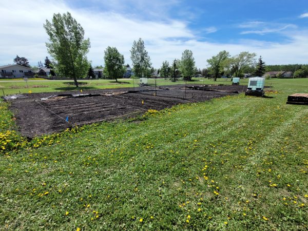 South Garden - Ground Plots